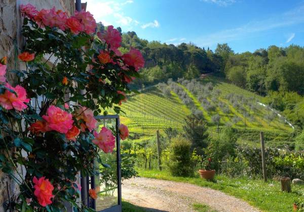 Agriturismo Poggio all'Olmo
