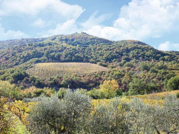 Villa il Cesto a Lucolena Greve in Chianti