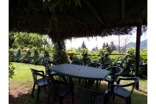 Violetta with view lake