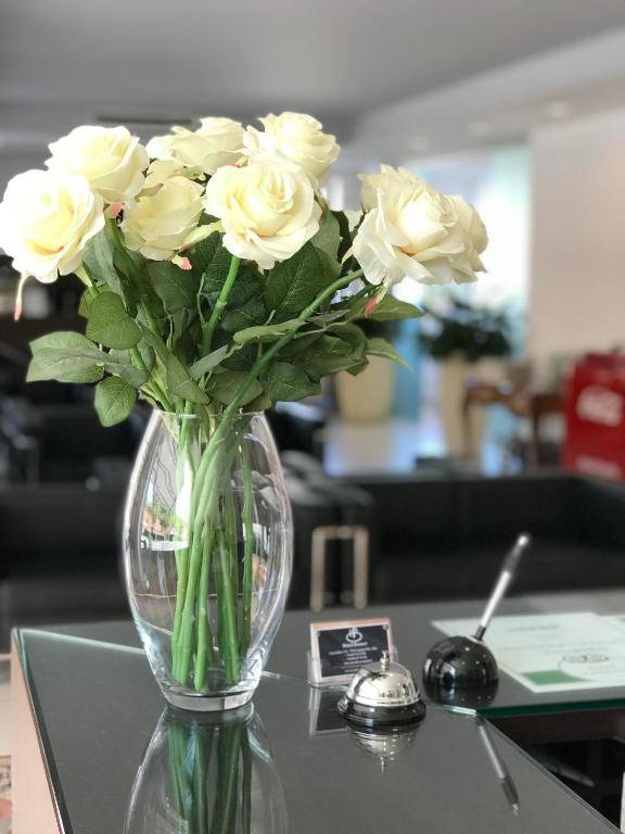 Hotel Benaco Garda ***S