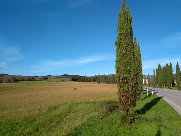 Agriturismo Poggio Di Sotto