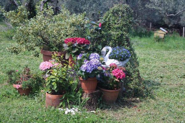 B&B La Terrazza di Frascati