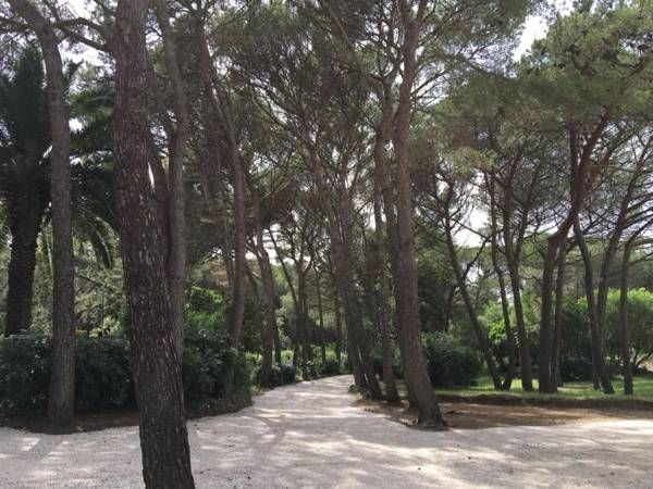 CSA Holiday House Hotel