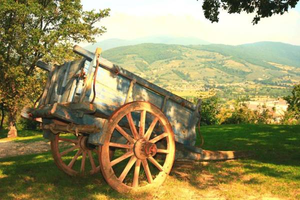 Agriturismo Le Vigne