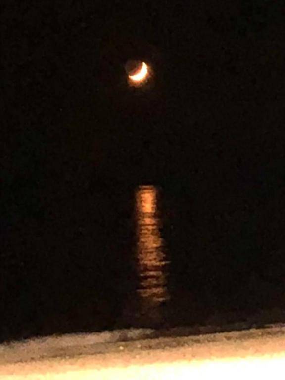 Suite Room Fiumicino