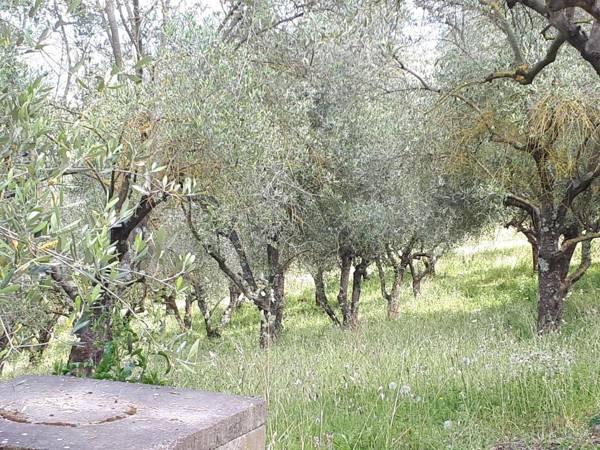 Fattoria Il Milione Agriturismo