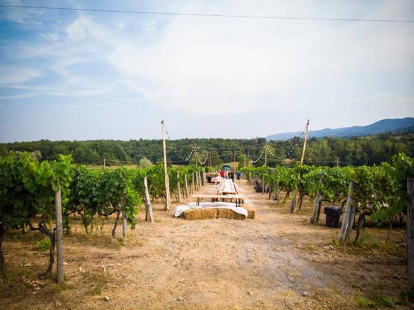 Agriturismo Fattoria La Palagina