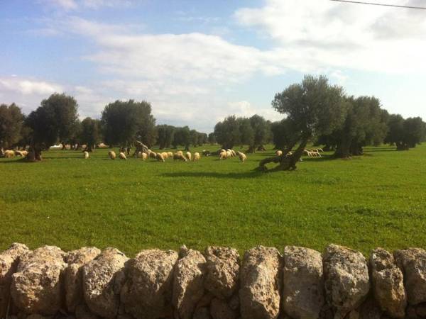 Masseria Pelosella B&B