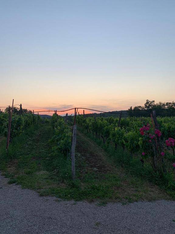 Cardo Boutique&Wine Resort