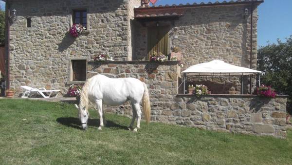 Agriturismo la Coccinella