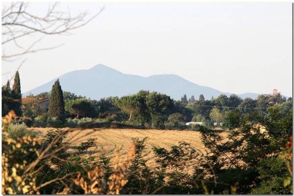 Il Villino Di Cortona (Private Property Private Pool Wi-Fi Air Conditioning)