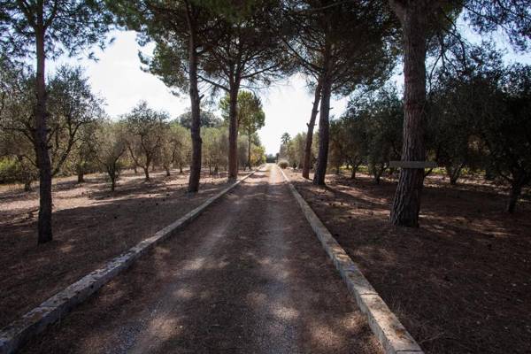 Bilocale nelle campagne Pugliesi con piscina m543