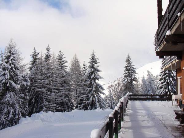 Albergo Ristorante Pineta