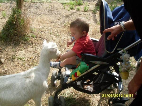 U' Cecere Agriturismo