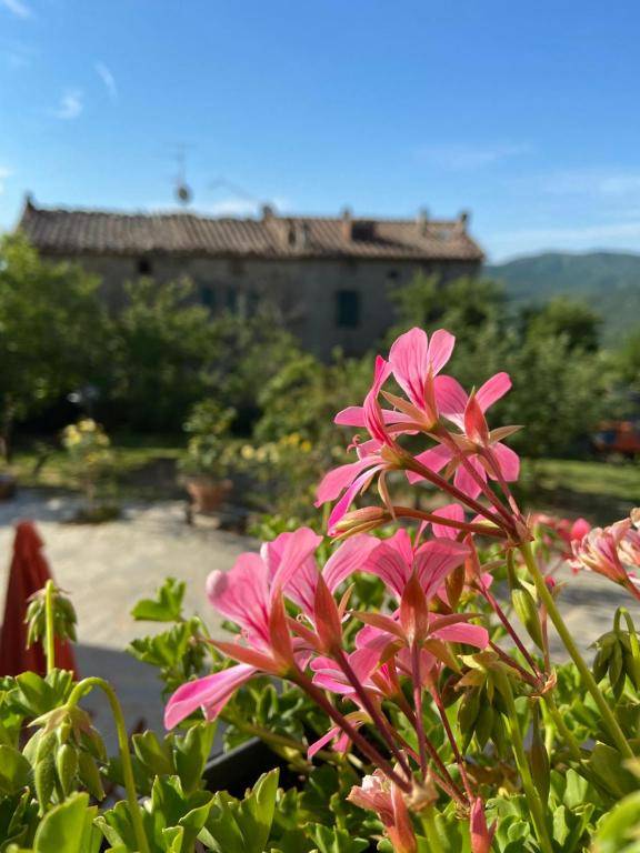 Agriturismo La Via Dell'Oliviera