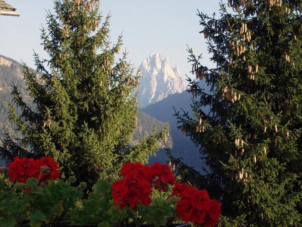 Appartment Kirch Neuhaus