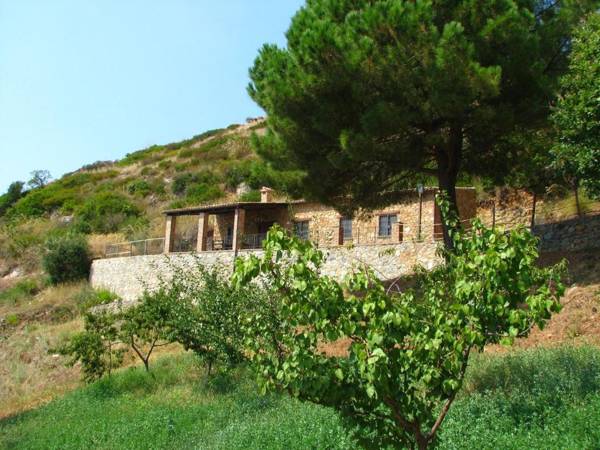 Beautiful Farmhouse in Cetraro with Terrace