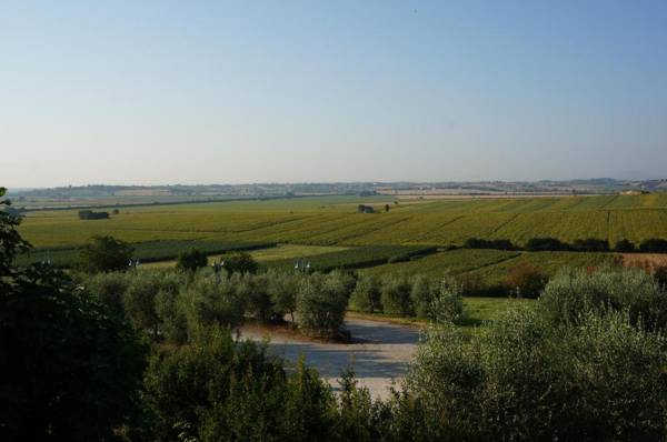 Agriturismo S.Angelo