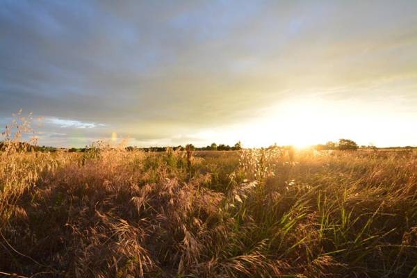 Agriturismo Dolce Verde