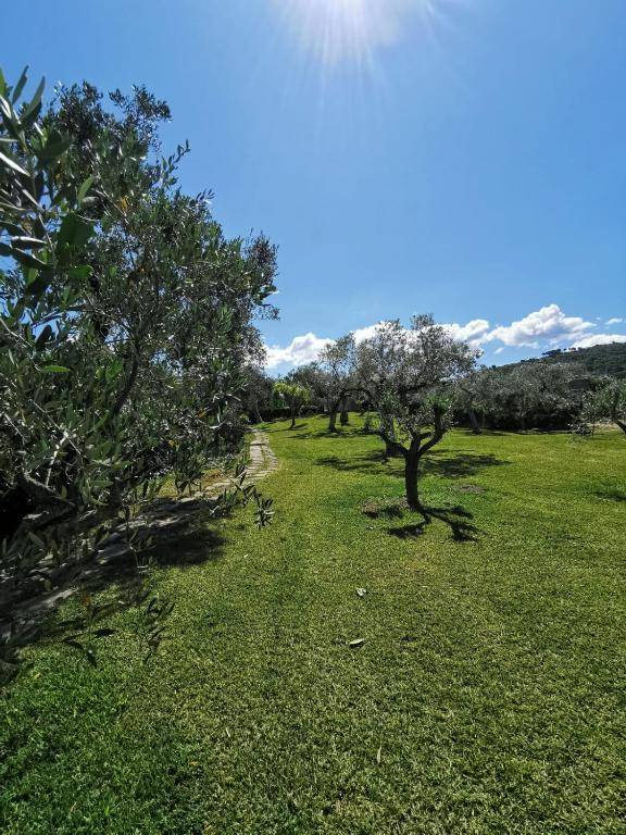 Beautiful house with sea view and amazing garden