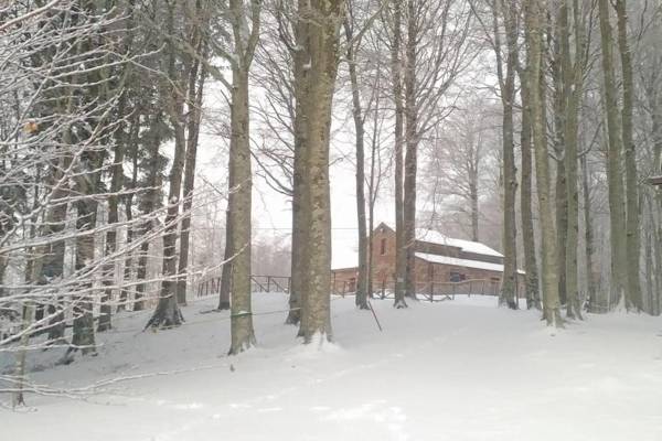 Chalet Vecchio Rifugio - Monte Amiata