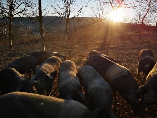 Agriturismo grecinella