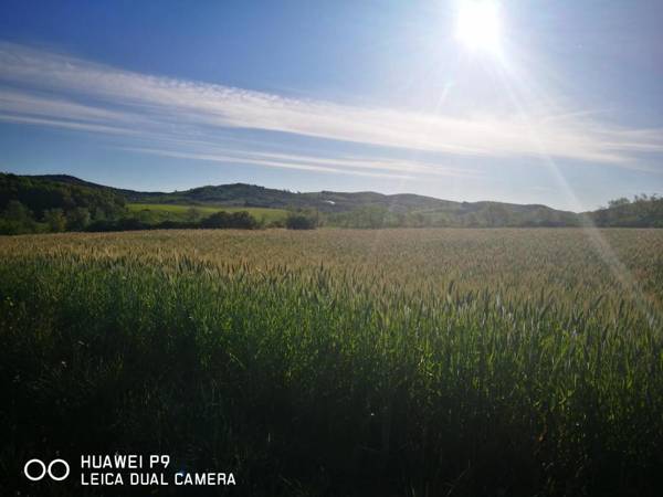 Agriturismo Vallerana