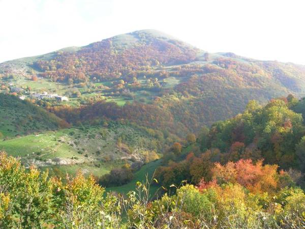 Agriturismo Pettino