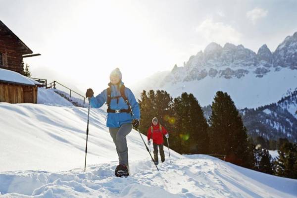 Forestis Dolomites