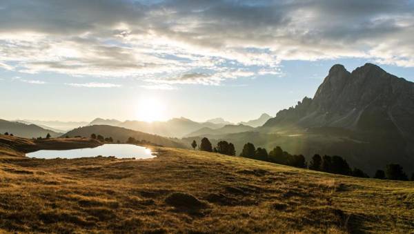 Forestis Dolomites