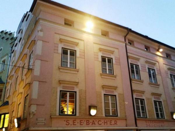 Charming renewed apartment pet allowed in the city center of Brixen