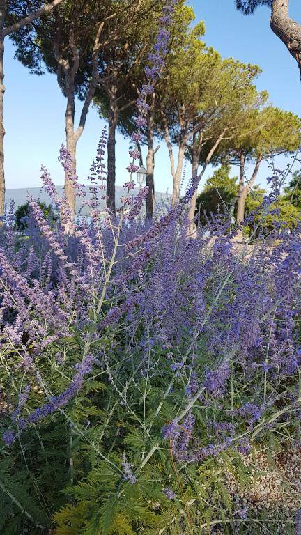 La Colombaia Nel Castello