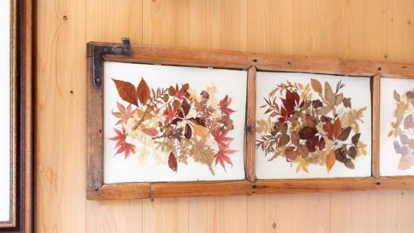 Italianway - Monte Solena 45C