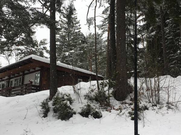 Villa Borca di Cadore