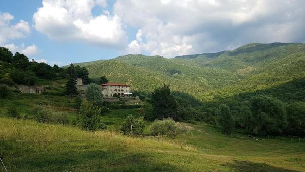 Agriturismo Casentino - Fattoria Ventrina