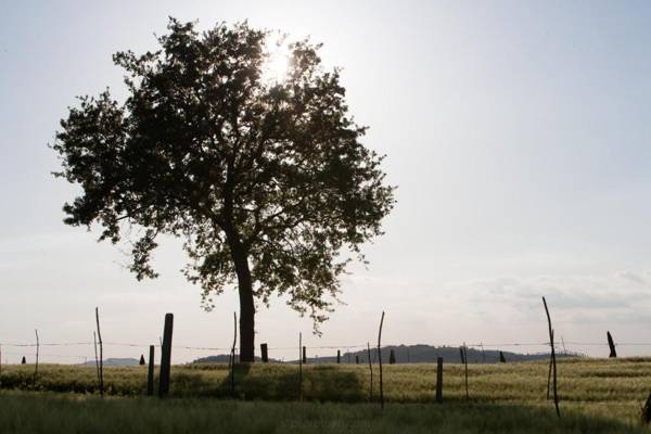 Hotel Palazzo Brunamonti