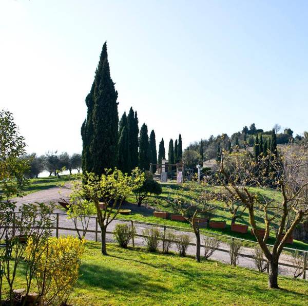 Agriturismo Torre Burchio