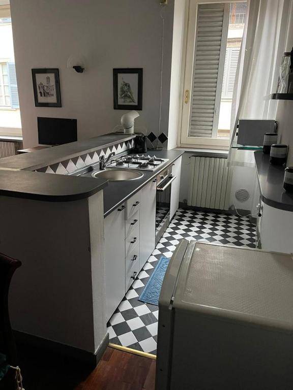 Gatto Bianco Bergamo 9