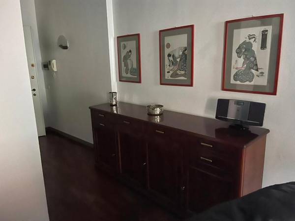 Gatto Bianco Bergamo 9