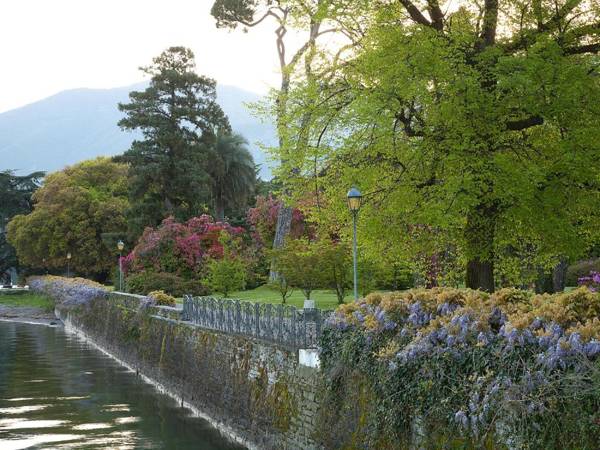 Colibrì LakeView Apartment