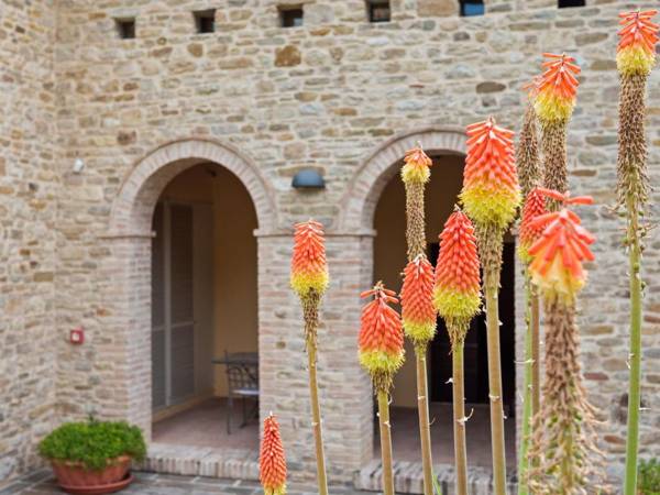 Beautiful Villa in Belforte all Isauro with Swimming Pool