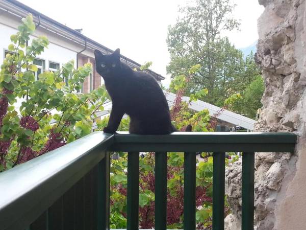 B&B Al Gatto Nero