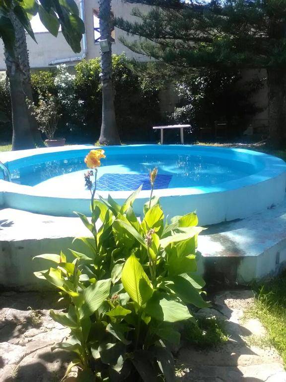 2 bedrooms appartement at Cicirata 50 m away from the beach with sea view shared pool and enclosed garden