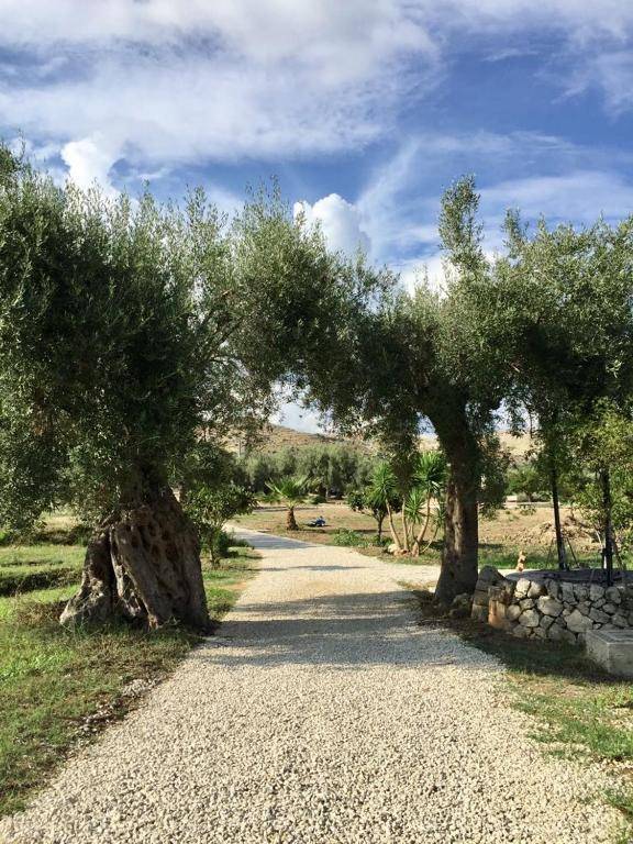 IUTA Glamping & Farm