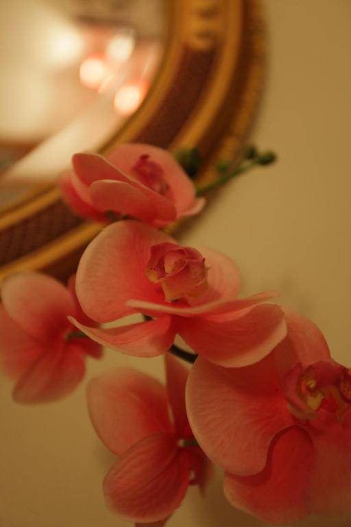 B&B Il Chiostro Assisi