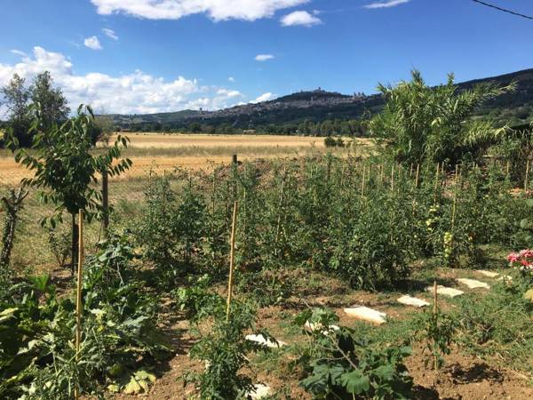 Sulla Strada di San Francesco