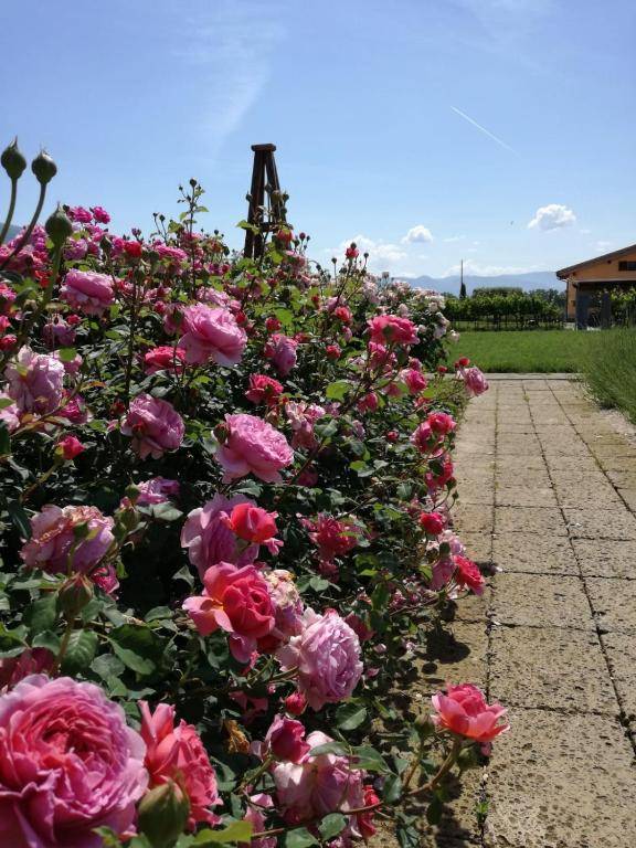 Il Fienile di Assisi