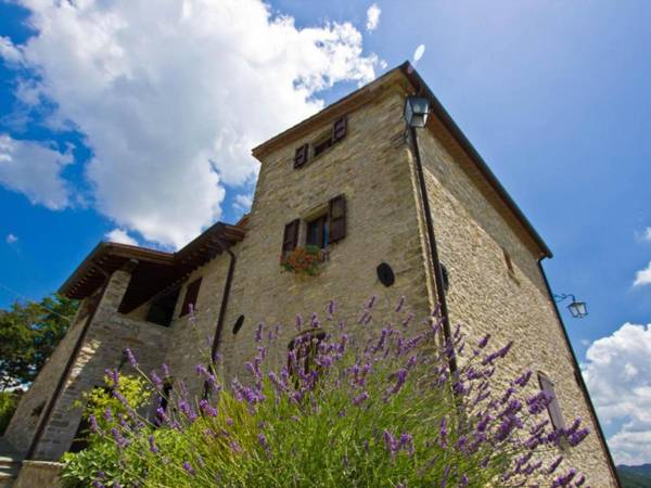 Pleasant Villa in Apecchio with Swimming Pool