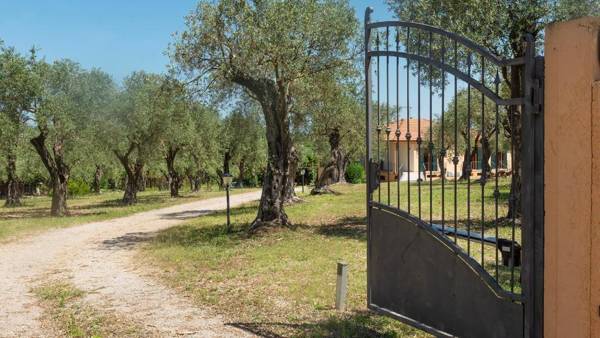 Welcomely - B&B Olivar