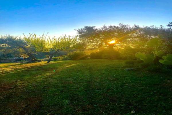 Trullo Cielo Cielo with pool